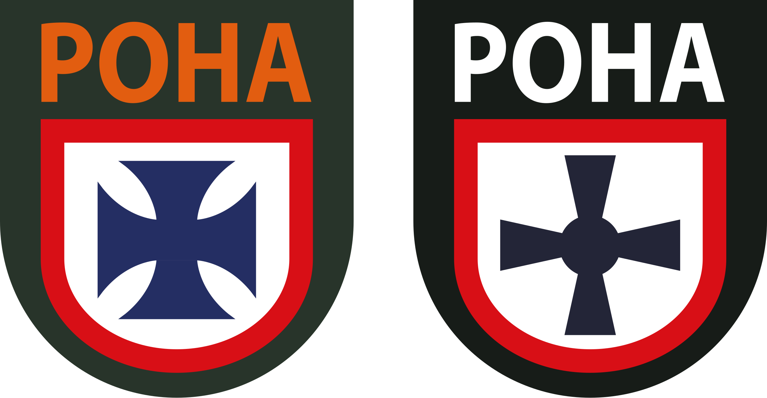 RONA 2 versions.svg.png