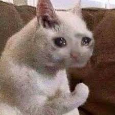 crying-cat