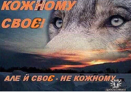 Файл:Вовк3.png