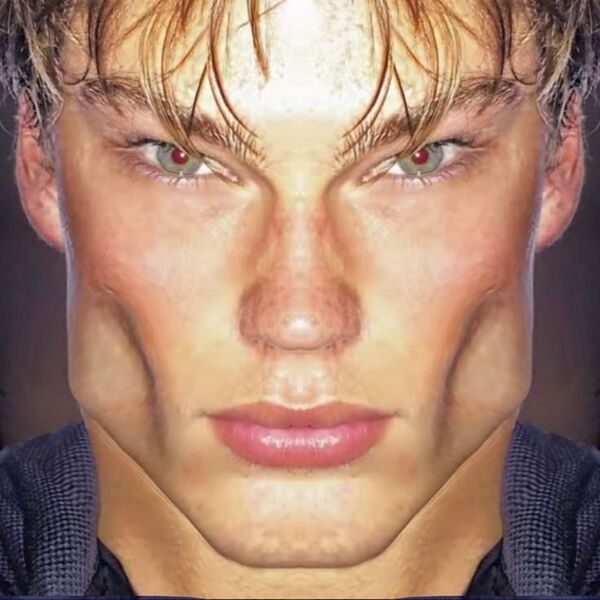 Файл:Looksmaxxing 3.jpg