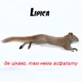 Кропивачрекордс_2
