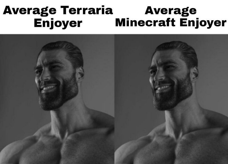 Файл:Terrariaminecraft.jpg