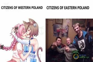 Західні та східні лоляки.jpg