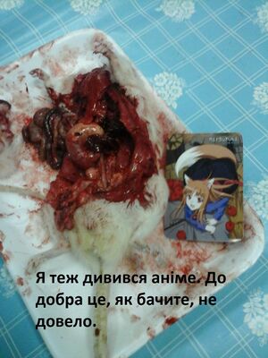 Анімка гуро.jpg