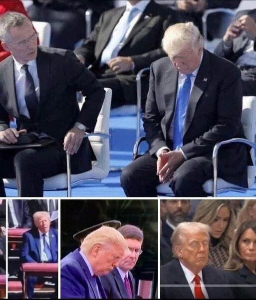 Файл:Sleppy tramp.jpg