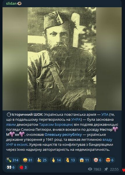 Файл:Slidan istoryk.jpg