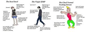 Incel vs simp vs chad.jpg
