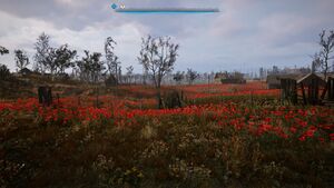 Stalker2 2.jpg