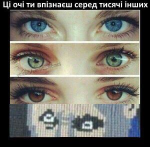88180756 216499313059958 6822573472594526208 n.jpg