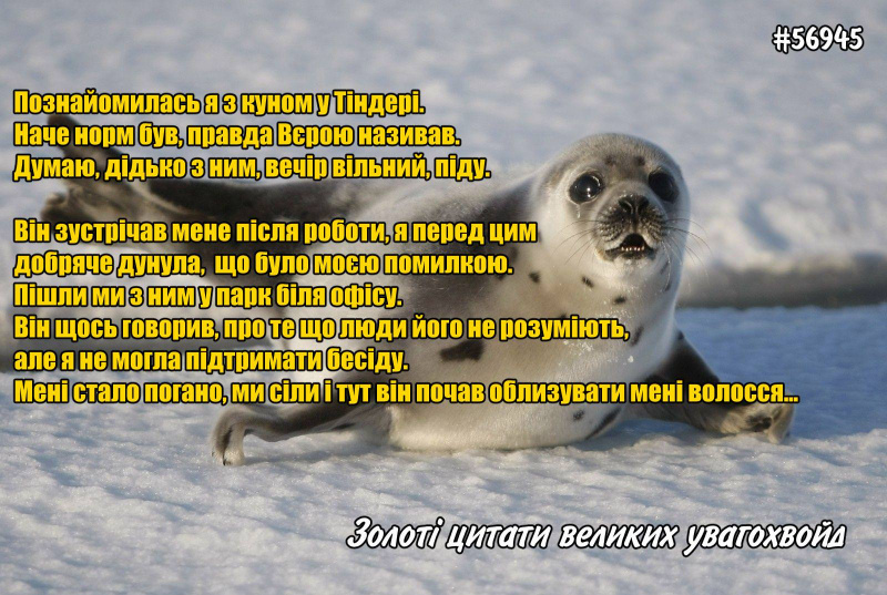 Файл:ЯромираЦитати.jpg