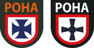 RONA 2 versions.svg.png