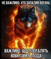 Цитати з вовком укр.jpg
