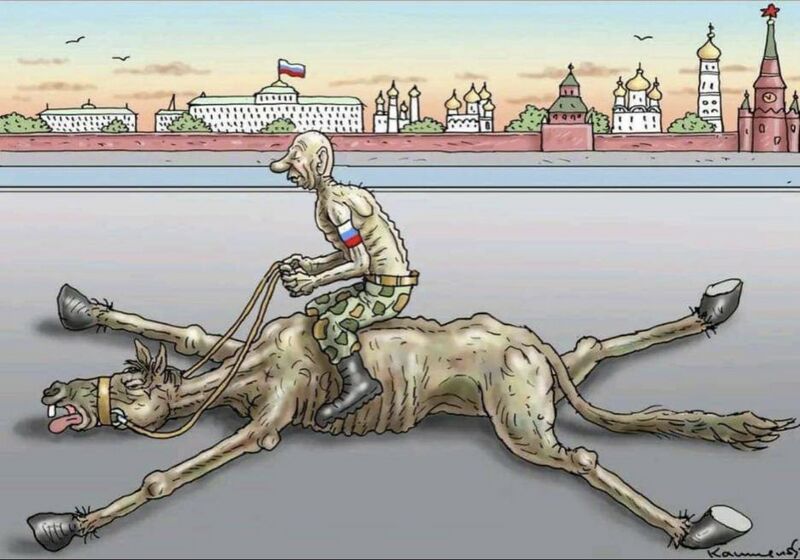 Файл:Putin cobyla.jpg