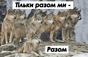 Вовк4.png