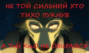 Вовк17.jpg