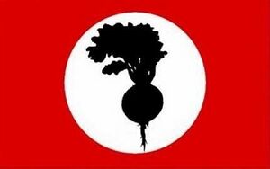 Eine Rote Bete.jpg