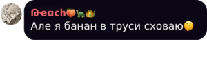 Тотоко.png