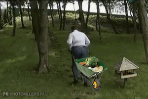 Пеньки.gif