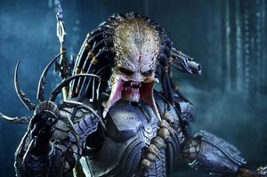 Predator.jpg