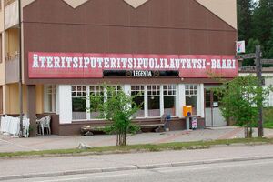 Finnish lang.jpg