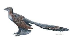Changyuraptor by ewilloughby-d7rhll4.jpg