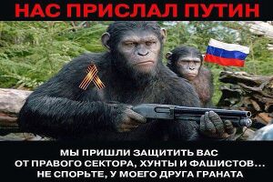 DPR 1.jpg