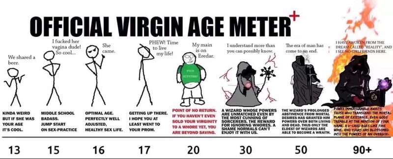 Файл:Virgin Meter.jpg