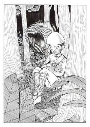 Hiroo Onoda graphic novel.jpg