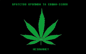 1608316120.211166-.png