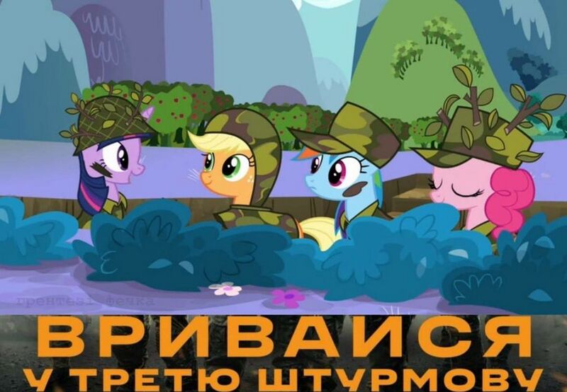 Файл:3ОШБр поні.jpg