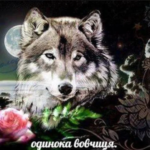 Вовк13.png