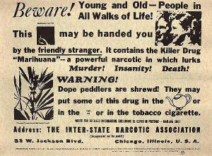 Marijuana USnewspaper1.jpg