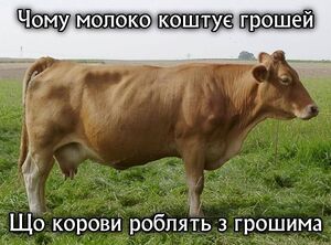 Корова капіталіст.jpg