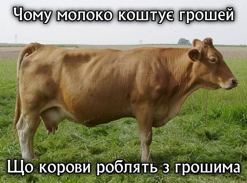 Файл:Корова капіталіст.jpg