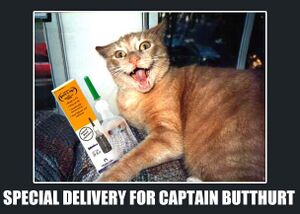 Cat-butthurt.jpg
