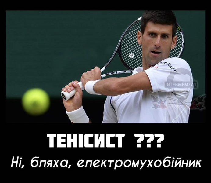 Файл:Електромухобійка2.jpg