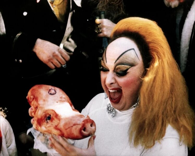 Файл:Pink flamingos 3.jpg