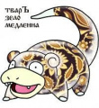 Слоупок канонічний