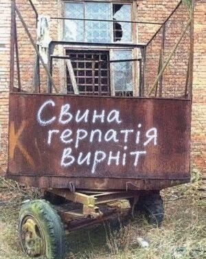 Свина герпатія верніть.jpg