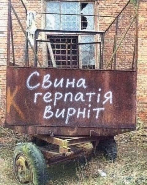 Файл:Свина герпатія верніть.jpg