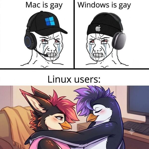 Файл:Linux gay2.jpg