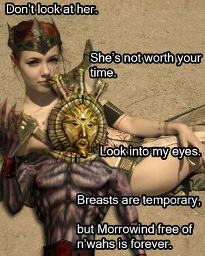 Morrowind 2.jpg