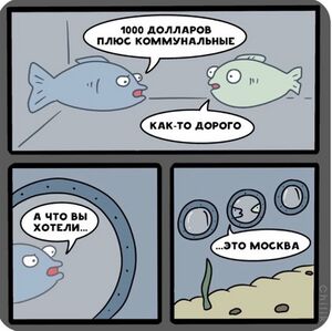 Крейсер москва.jpg
