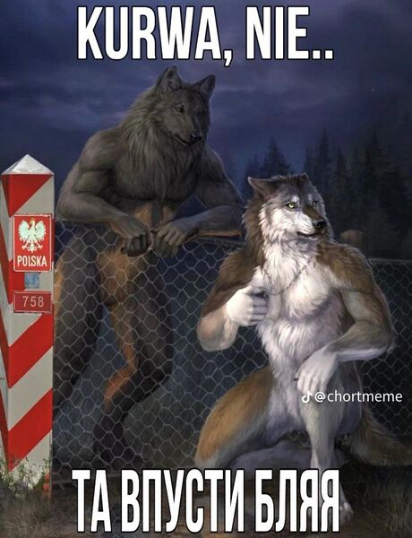 Файл:Фуррі поляки.jpeg