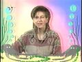 Мініатюра для версії від 12:00, 4 травня 2024
