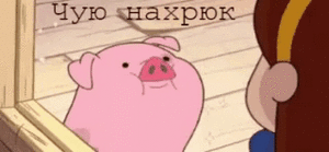 Нахрюк-свиня.gif
