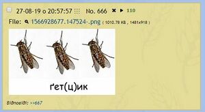 U666.jpg
