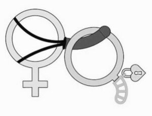 BNWO-bdsm-femdom.jpeg
