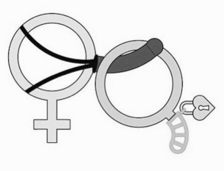 Файл:BNWO-bdsm-femdom.jpeg