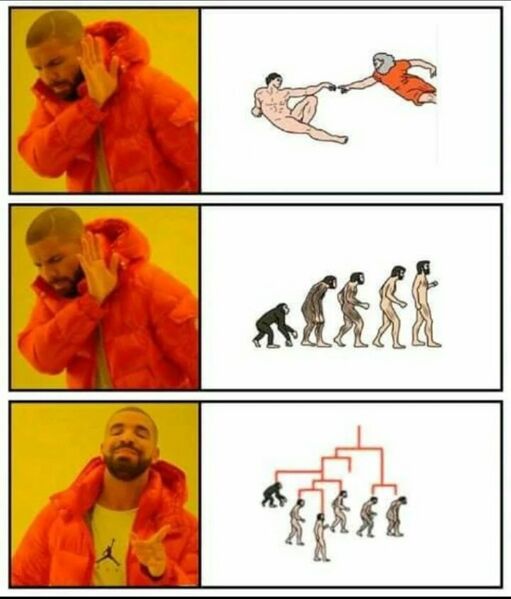 Файл:Еволюція працює так.jpg